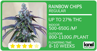 The Ultimate Guide to Quarter Pound of Weed What You Need to Know The Ultimate Guide to Quarter Pound of Weed What You Need to Know